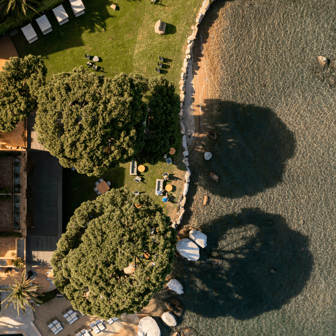 Vineyard offer Casa Santini x roc seven