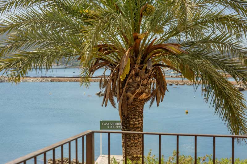 Terrace Suite - Roc Seven Porto Vecchio