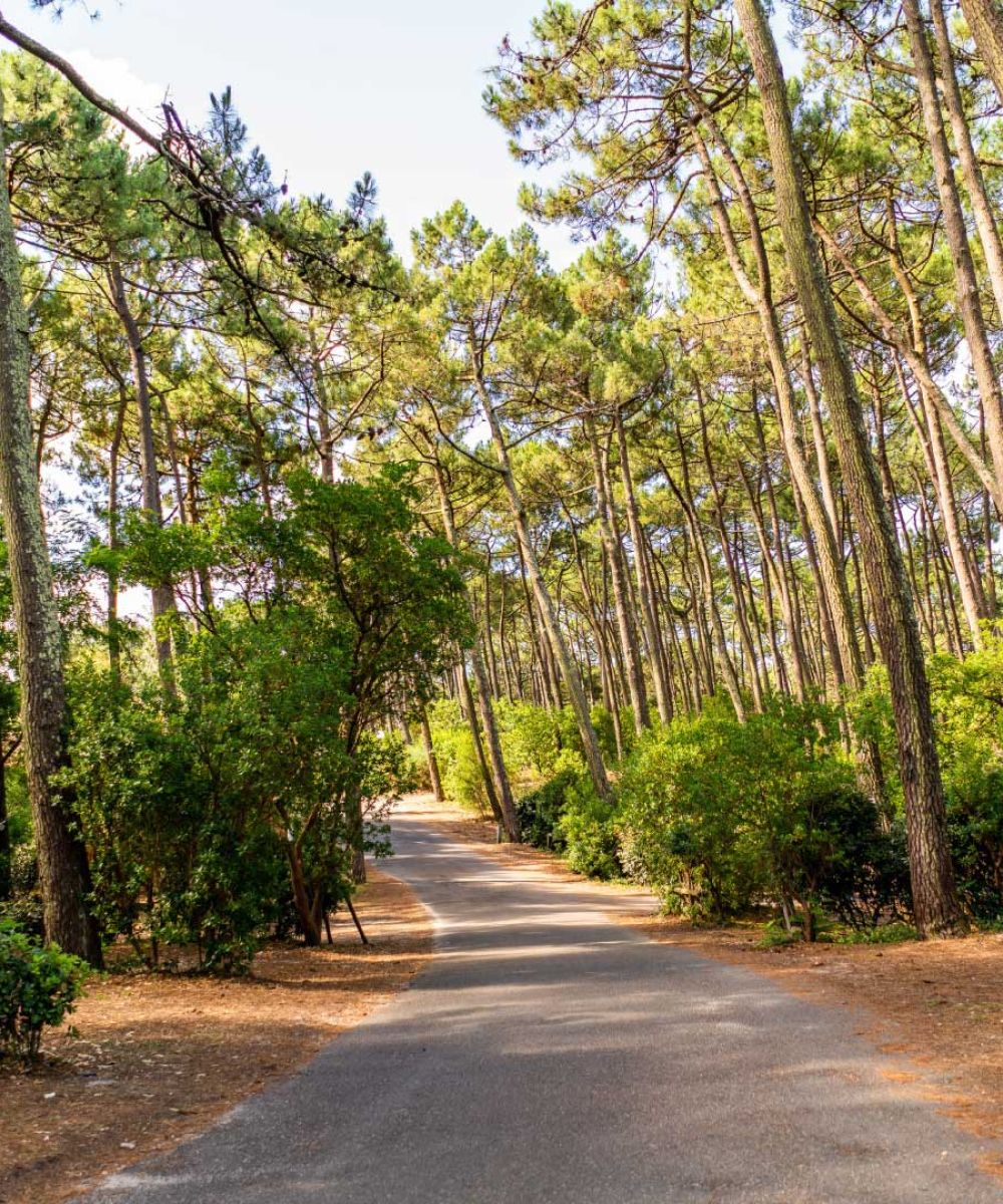 balade en vélo cap ferret